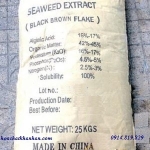 Sea Weed (Seaweed extract) - Rong Biển